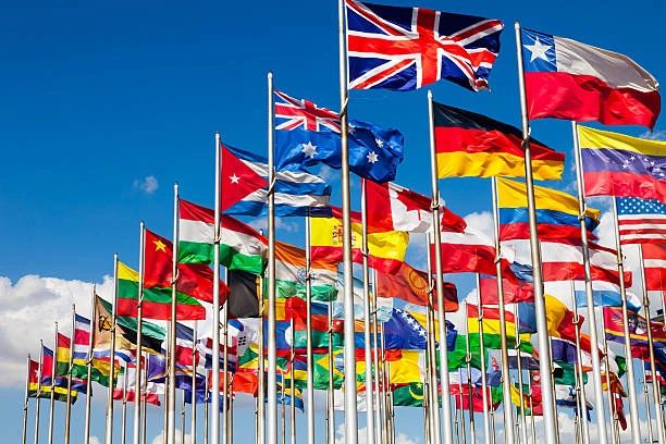 Translation Services